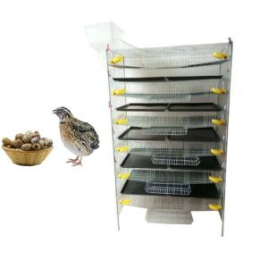 Automatic Feeding & Drinking Quail Laying Cages