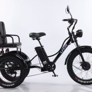 3 Wheel Electric Tricycle for Passenger & Cargo Transport