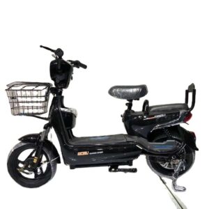 48V 350W Electric E-Bike – Compact Urban Commuter