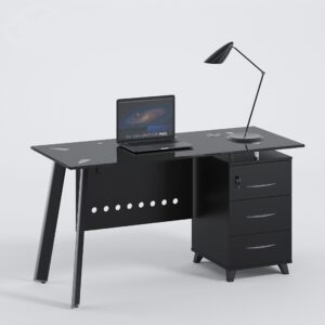 Executive Office Desk & Chair Set