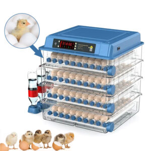 Fully-Automatic Poultry Egg Incubator