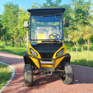 8 Seater Electric Golf Cart