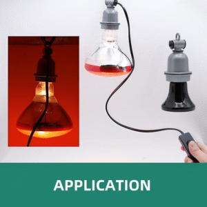 Ceramic Heat Lamp Holder (Air Freight)